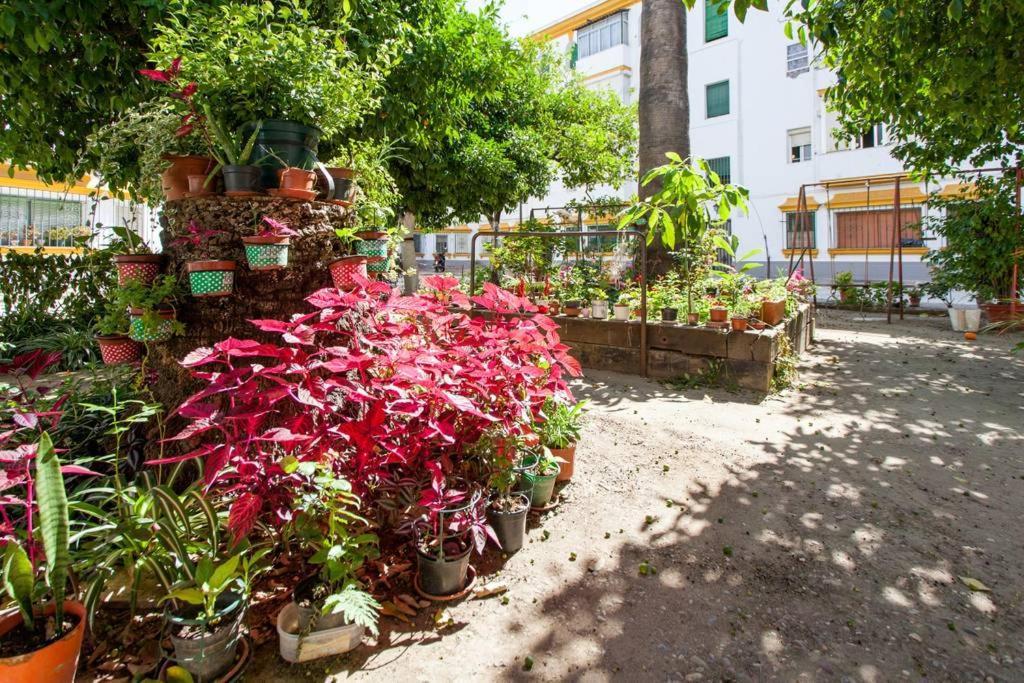 Apartamento A Los Pies Del Alcazar Sevilla Exterior foto